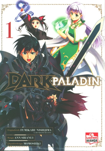 Dark Paladin 01