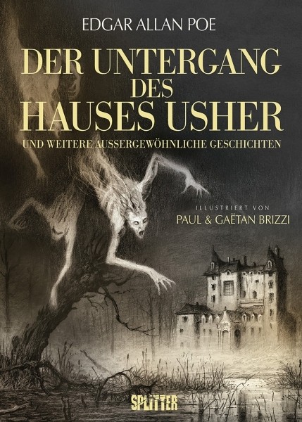 Der Untergang des Hauses Usher (illustrierte Kurzgeschichten) (01/25)