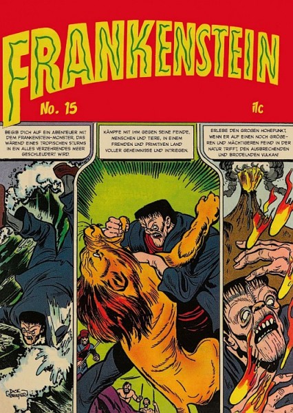 Frankenstein 15 (11/24)