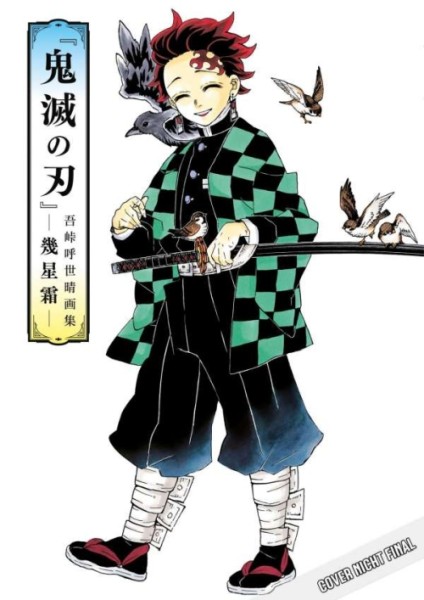 Demon Slayer - Kimetsu no Jaiba (Artbook) (12/24)