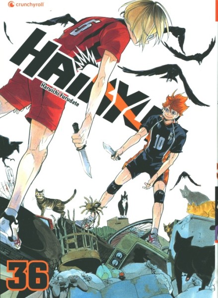 Haikyu (Kaze, Tb.) Nr. 31-40 zus. im Sammelschuber (Z1)